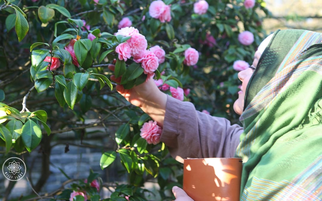 Signature Me – The Desire To Discover Yourself